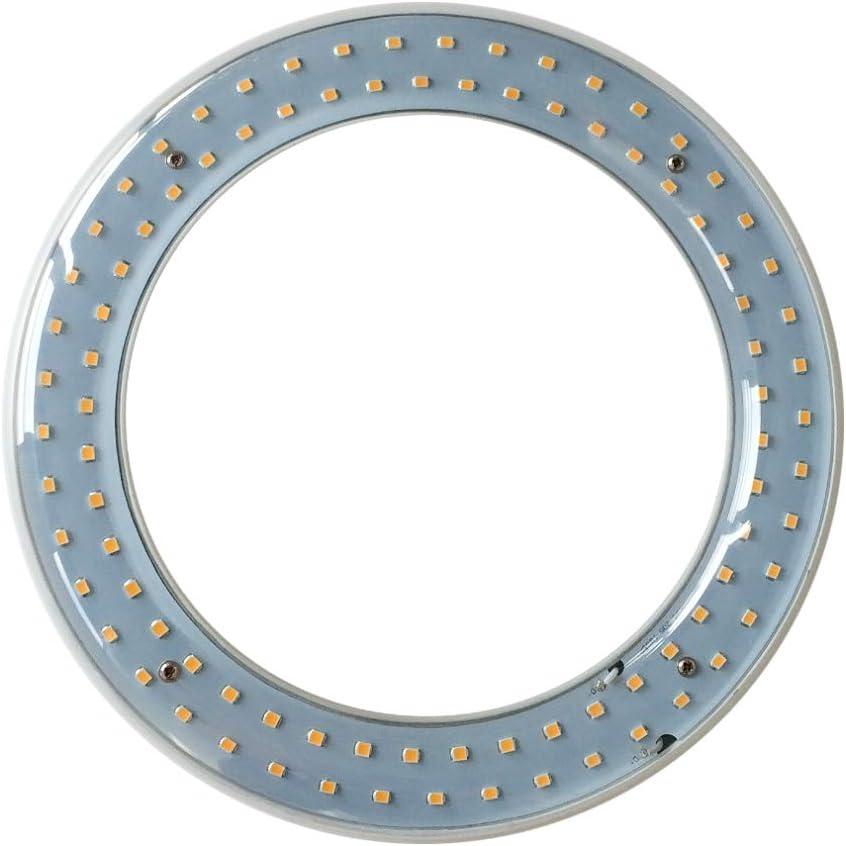 T9 LED Circline Light Bulb, 8 Inch 1600LM LED Circular Light, 13W Clear Cover 2700K Warm White Replacement for FC8T9 22-Watt Fluorescent Circular Bulb(FC8T9), Ballast Bypass Required