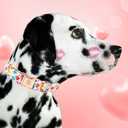 Elegant Little Tail Valentine's Day Collar - Pink Heart Cute Dog Collar, Adjustable for X-Small Dogs