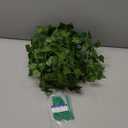 12 Pack Fake Vines for Room Decor Artificial Ivy Garland with Clip Green Flowers Hanging Plants Faux Greenery Leaves Bedroom Aesthetic Decor for Home Garden Wall Wedding (84FT)