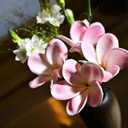 10pcs Light White Pink Flowers PU Real Touch Flowers Hawaiian Plumeria Tropical Artificial Flowers for DIY Floral Gifts Wedding Home Office Table Decor Farmhouse Table Centerpiece Decorations