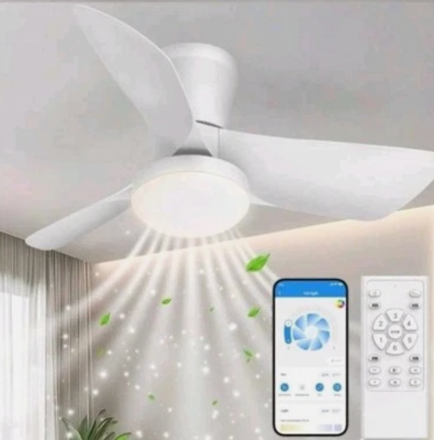 Ceiling Fans Lights with APP & Remote Control: 30 Inch Low Profile Ceiling Fans with Lights Reversible Small Flush Mount Ceiling Fan 3 Colors Quiet 6 Speeds Ceiling Fan for Bedroom Livingroom Kitchen