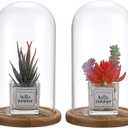 JUXYES Pack of 2 Glass Display Dome Cloche with Solid Wood Base, Clear Dome Bell Terrarium Jar Glass Cloche Bell Jar Display for Plants Collectible Figure
