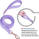 Soft Leather Martingale Dog Collar - Adjustable Rose Gold Limited Slip Collars [Easy to Clean], Stylish Durable Heavy Duty Nylon No Pull Training Collar for Dogs (XS, Set Purple)