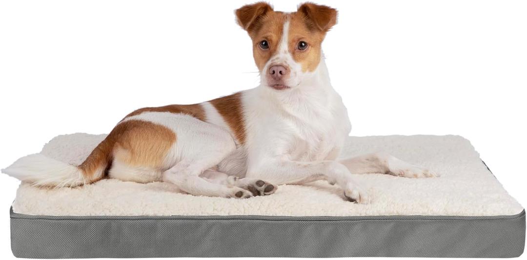 Best Pet Supplies Cute Dog Crate Mat Flat Bed with Waterproof Exterior, Thick Orthopedic Egg Foam Mattress, and Soft Sherpa Fleece Cover for Small, Medium, and Large Breeds - Gray, 30X20X3 (Dog Mat (Gray))