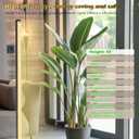 Grow Light with Auto-Timer, Hanging and Standing Grow Lights for Indoor Plants,3 Light Modes, Detachable Full Spectrum Plant Lights for Wide Area Coverage in Indoor Plants (45 in)