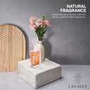 2 x Reed Oil Room Diffuser - Home Fragrance Reed Diffuser and Oil Diffuser Sticks - Natural Reed Diffuser Set - Relaxing and Calming Scent - 5.07oz Diffusers for Home - Gold - Ebony Bergamot Aroma