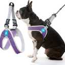 Gooby Simple Step in III Harness - Purple, Large - Small Dog Harness with Scratch Resistant Outer Vest - Soft Inner Mesh Harness for Small, Medium Dogs, Size: Large chest (18.5∼23.75")
