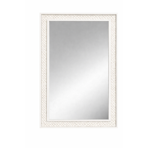 18x24 White Rattan Trim Mirror, White 