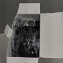 Hair Dryer with Comb | 1800W Blow Dryer with Diffuser for Curly Hair | Plasma Ionic Hairdryer for Frizz Control | Foldable & Protable Design for Travel | 6.5 ft ALCI CordAmazon's Choice