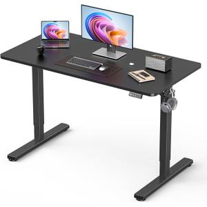 44" Small Electric Standing Desk Adjustable Height for Home Office, 44 x 24 Inch