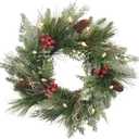 Pre-lit Christmas Wreath for Front Door, Snow Branches, 22 Inch Battery Operated 50 LED Lights, Decorations for Indoor & Outdoor Green