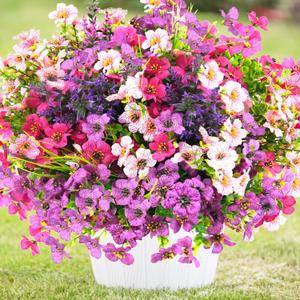 trytuny Artificial Flowers for Outdoor, UV Resistant Realistic Fake Flowers and Faux Plants for Indoor Outdoor, Garden Patio Porch Window Box Decor All Year (12pcs - Mixed Color)