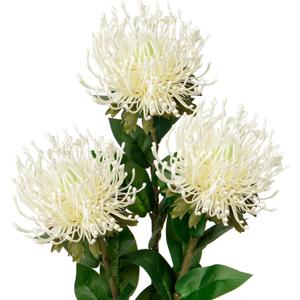 Hollyone 3Pcs White Artificial Flowers Mums Spider Mum Flower Fall 28.3'' Long Stem Fake Chrysanthemum Flowers Leucospermum Cordifolium Arrangement Faux Pincushion Flower for Office Bouquet Home Decor