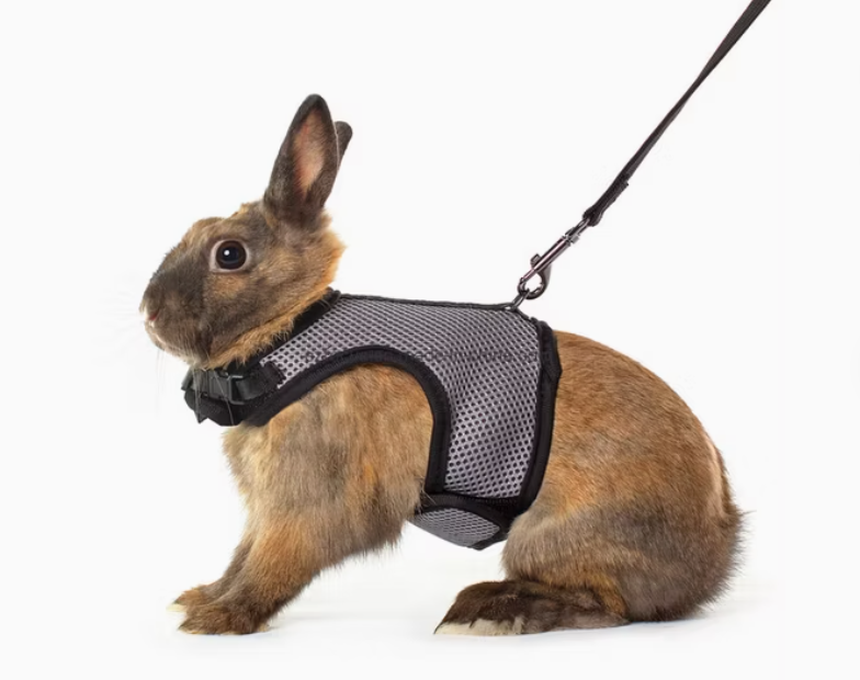 Niteangel  Small Pet Rabbit Harness Leash Comfortable Traction Rope for Rabbits Hamsters and Squirrels Lightweight and Durable Design S