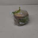 Set of (10) 8-9 inch Wood Slices for centerpieces! Wood Slice centerpieces, Wood Rounds, Tree Slices (8 inch)