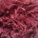 Burgundy Plush Rug for Living Room Fuzzy Carpet for Bedroom Dorm, Non-Slip High Pile Rug, Shag Rug for Playroom Nursery Home Office Decor 8X10 Ft