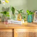 Mkono Propagation Vases for Plants, Set of 5 Small Glass Jar Planters for Hydroponic Cutting Flowers, Plant Station Bud Vases for Centerpieces Home Office Decor Gift, Colorful (Plants not Included)