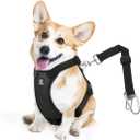 VavoPaw Dog Seat Belt, Safety Vest Dog Car Harness with Adjustable Buckle Dog Seat Belt for Vehicle Nylon Pet Safety Seat Belts Heavy Duty(S, Black)