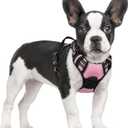 rabbitgoo Dog Harness No Pull with 2 Leash Clips, Adjustable Soft Padded, Reflective Oxford No Choke Pet Vest with Easy Control Handle for Small Dogs, Pink, S