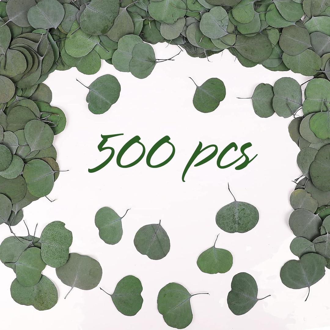 Real Eucalyptus Leaves for Shower 500PCS Green Dried Eucalyptus Leaves Bulk for Wedding Home Party Bridal Showers Baby Shower DIY Garland Cake Table Center Spring Decorations