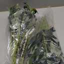 30pcs Faux Olive Leaves Stems 10 Tall Artificial Plants Olive Branches for Small Vase Tabletop Greenery Decor for Home Office Wedding Party (Vase Not Included)