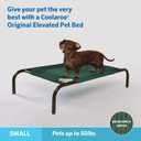 Coolaroo The Original Cooling Elevated Pet Bed,Brunswick Green, Small