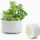 Plant Pots Indoor with Drainage Hole and Mesh Cricle,Elegant Round White Ceramic Pots for Succulents Plants, Diameter 6.5/8 Inches Large Flower Planters Set of 2