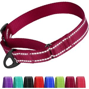 CollarDirect Reflective Martingale Dog Collar Nylon Heavy Duty Training Pet Collars for Small Medium Large Dogs Puppy Black Blue Mint Green Red Pink Purple Dark Red (L, Neck Size 16"-24", Dark Red)