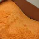 Ophanie Orange Fall Rugs for Bedroom Living Room, Fluffy Fuzzy Furry Carpet, Plush Soft Shaggy Bedside Indoor Floor 4x6 Area Rug for Kids Girls Boys Baby Teen Dorm Nursery Home Decor Aesthetic