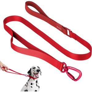 Nylon Dog Leash Heavy Duty Lightweight w/Traffic Handle and Elastic Two Handles, Carabiner Clip Lock Durable Dog Training Leash Walking Lead for Medium Large Dogs (Vivid Red, L)