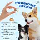 Natural Probiotic Digestive Supplement for Dogs - Probiotic Chewable with Prebiotics and Enzymes Supports Gut Health, Diarrhea & Digestion, Improve Immune System Allergy Itch Skin (1)
