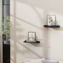 Danpoo Small Floating Shelves for Wall Storage, Mini Display Shelves for Collectibles, Metal Wall Shelves for Bathroom/Living Room/Kitchen/Bedroom(Black, 8")