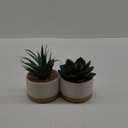 ASTRIDIA Artificial Succulent Plants in Ceramic Pots, Faux Assorted Succulents Plants for Home Decor, Bedroom, Office, Desk, Living Room, Set of 2