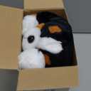 PixieCrush Dog Stuffed Animals - Bernese Mommy with 4 Puppies in Her Tummy - Huggable and Fluffy Dog Plushies for Imaginative Play - Plush Toys Suitable for Kids 3 Years Old and Above - 5" x 10" x 8"