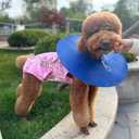 Xqpetlihai Recovery Suit for Dogs Dog Surgery Recovery Suit Female Dog Recovery Suit After Surgery Dog Surgery Recovery SuitSW-L (Large (Pack of 1), Sweet)