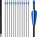 Archery Targeting Arrows 28inch Practice Arrows for Recurve Bow Fiberglass Training Arrows for Adult Youth and Teens (Pack of 12)