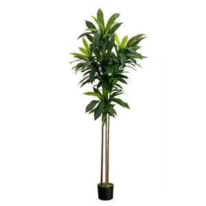 6 ft. Artificial Dracaena Tree with Real Touch Leaves