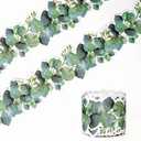 49ft Eucalyptus Die-Cut Border Trim Bulletin Board Classroom Border Trim Eucalyptus Themed Border Sticker for Photo Wall Bulletin Boards Desks Display Home and School Decorations Green