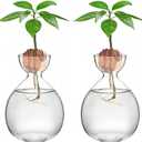 2PCS Avocado Vase Grow Glass Bulb Vases Acorn Seed Starter Vase Avocados Pit Planter Pot for Gardening Lover Indoor Hydroponics