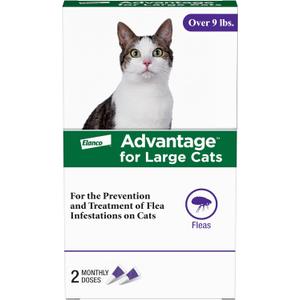 Advantage Topical Cat Flea Treatment and Prevention for Large Cats Over 9 lbs. | Apply Flea Drops Monthly | 2 Treatments