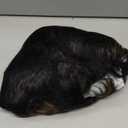 Pixie Cut Wig Human Hair Short Pixie Wigs for Black Women Human Hair Glueless Full Machine Made Wig Glueless Wear and Go Natural Color F1B30