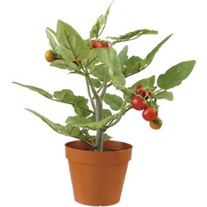 Creative Co-Op Faux Tomato Plant in Plastic Pot
