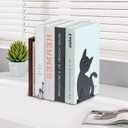 OYEFLY Modern Bookends for Shelves,Decorative Book Stopper for Home (1, Style 1)