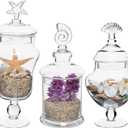 MyGift Clear Glass Apothecary Jars with Lid, Decorative Seashell Design Bathroom Canister, Footed Candy Buffet Containers, Set of 3