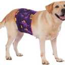 LovinPet 3-Layer Dog Belly Warmer Calming Wrap, Adjustable Abdominal Protector for Dogs, Anti-Chafe Moisture Barrier, Memory-Foam Core + Mesh Lining, Dinosaur Print,Purple Large