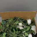 Hananona Artificial Roses in Bulk, Fake Velvet Silk Roses Realistic Rose for Wedding Centerpieces Flower Arrangement Home Decor (50, White)