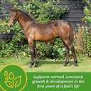 Farnam Grow Colt Supplement for Growth & Development, Horse Supplements for Foals, Supports Normal, Consistent Growth in First Years of Foal's Life, 7.5 Lbs., 60 Day Supply!