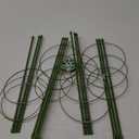 4 Pack Plant Support Tomato Cages for Garden, 18 Inches Small Tomato Cages and Supports with Adjustable Rings for Garden Pots, Plant Stakes Tomato Trellis Rings for Climbing Plants