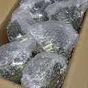 24Pcs Plastic Ribbed Martini Glasses Disposable 10oz Plasitc Champagne Coupe Glasses Detachable Cocktail Glassware Set Unbreakable Dessert Cups for Wedding Birthday Easter Spring Party (Green)