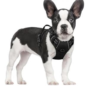 rabbitgoo Dog Harness No Pull with 2 Leash Clips, Adjustable Soft Padded, Reflective Oxford No Choke Pet Vest with Easy Control Handle for Small Dogs, Black, S